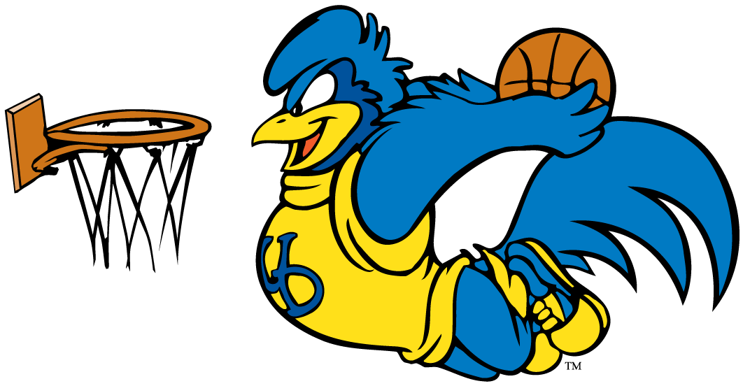 delaware blue hens 1993-pres mascot Logo v7 iron on transfers for clothing
